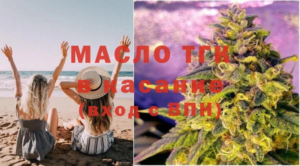 индика Гусев