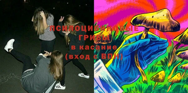индика Гусев