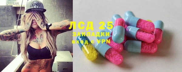 индика Гусев