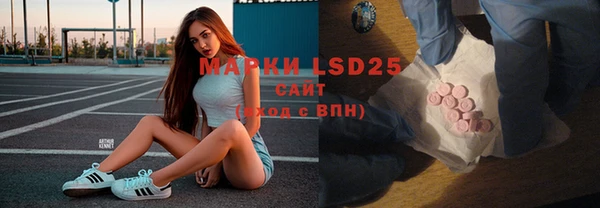 индика Гусев