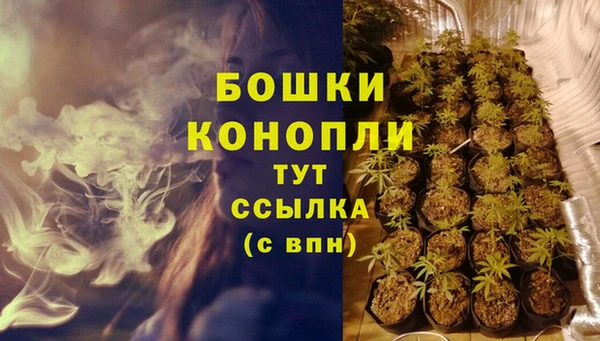 индика Гусев