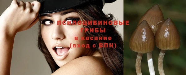 индика Гусев