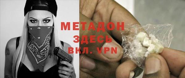 индика Гусев