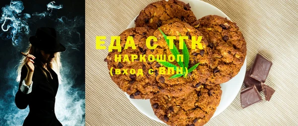 индика Гусев