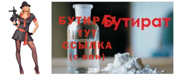 индика Гусев