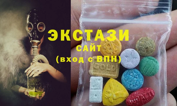 индика Гусев