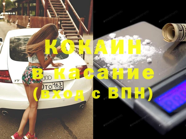 индика Гусев