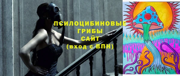 гашиш Гусь-Хрустальный