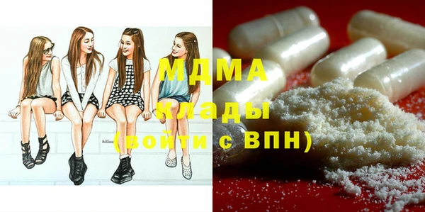 индика Гусев
