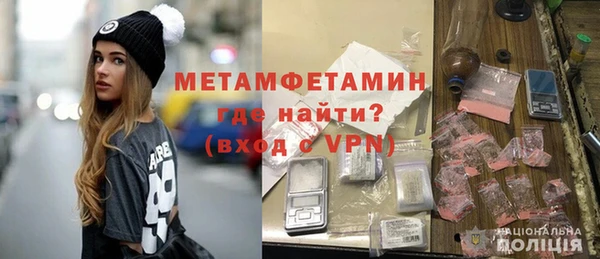 индика Гусев