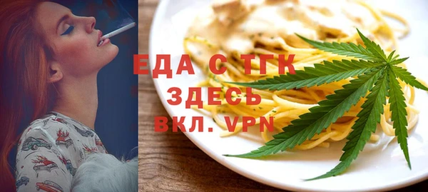 индика Гусев