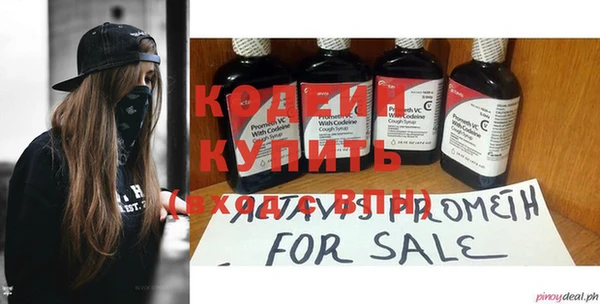 индика Гусев