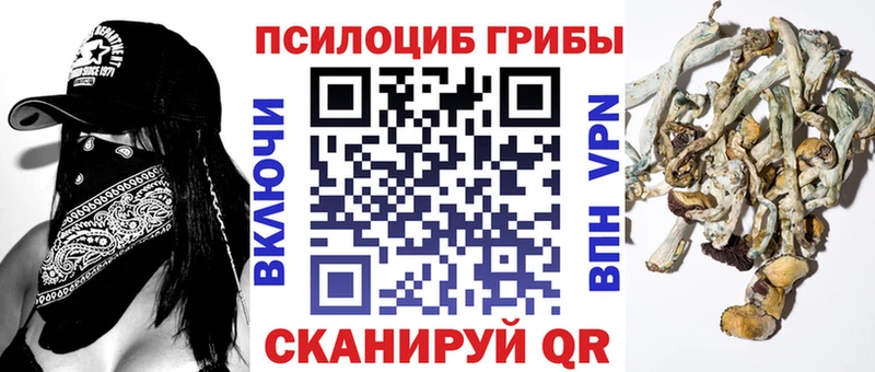 Псилоцибиновые грибы мицелий  Купить где  Фокино 